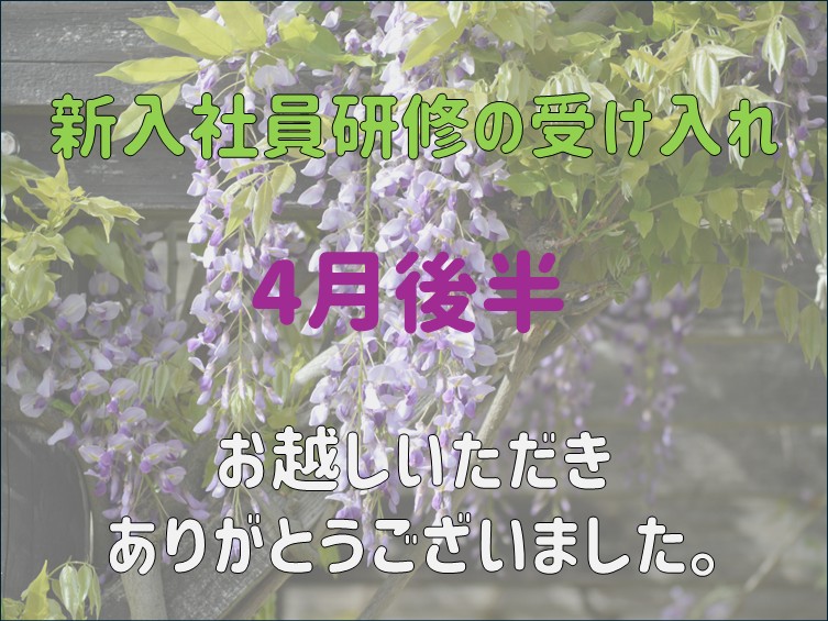 新入社員研修　4月後半